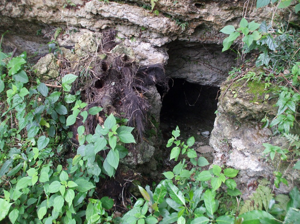 前川途中報告 沖縄ある記